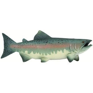 Safari Salmon