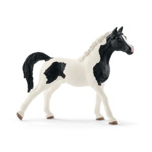 Schleich 13840 pinto arab hřebec