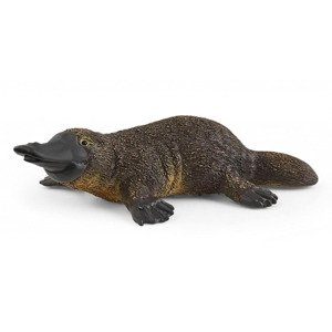 Schleich 14840 ptakopysk