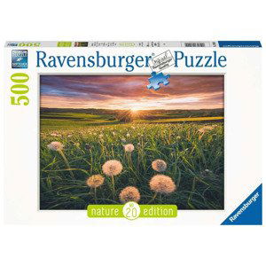 Ravensburger 16990 pampelišky v západu slunce 500 dílků