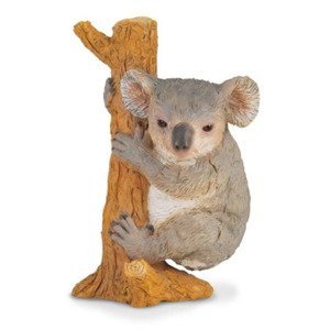 Collecta koala na stromě