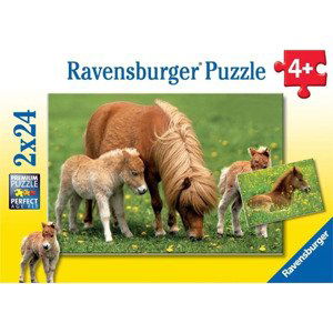 Ravensburger 08994 puzzle roztomilí poníci 2x24 dílků