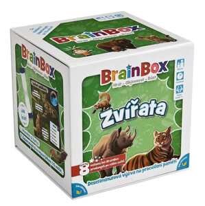 Brainbox zvířata