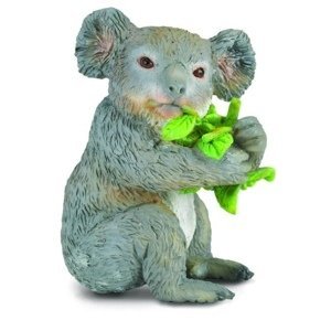 Collecta koala s eukalyptem