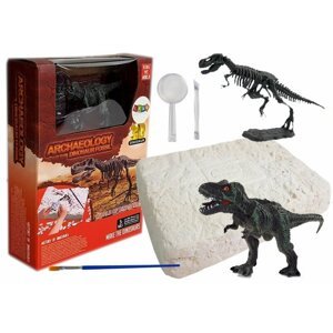 mamido Vykopávky kostry dinosaura Tyrannosaurus Rex