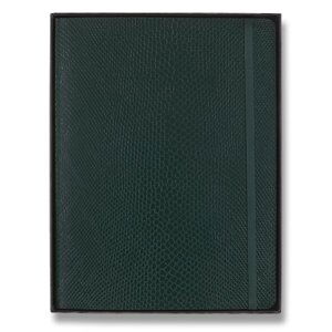 Zápisník Moleskine Precious & Ethical Vegea Boa - měkké desky XL, linkovaný, zelený