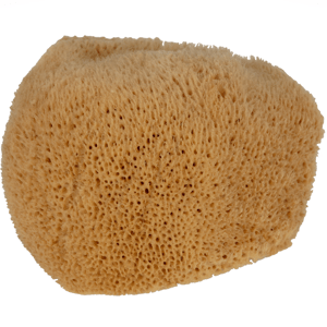 Cotton & Sweets Přírodní mořská houba L