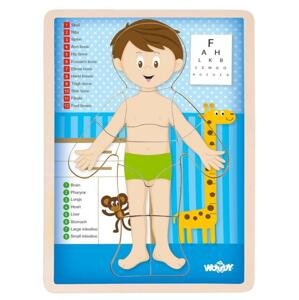 Woody Puzzle Lidské tělo - Chlapec EN