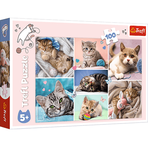Trefl Puzzle 100 dílků - Koťata