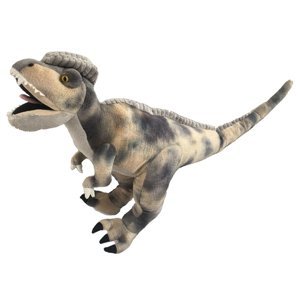 Dilophosaurus 76 cm