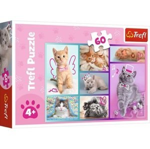 Trefl puzzle 60 dílků - Roztomilé kočky
