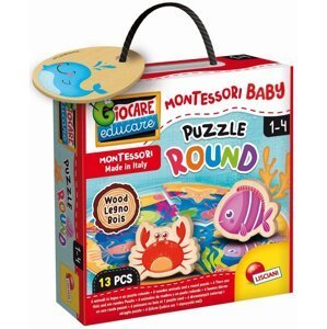Montessori dřevěné puzzle kruh