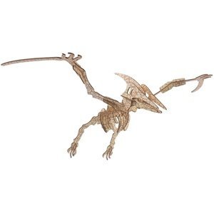 Woodcraft Dřevěné 3D puzzle Pterosaur