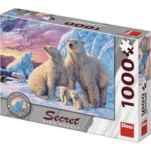 Dino lední medvědi 1000 secret collection Puzzle