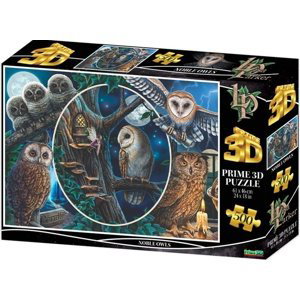 3D puzzle - Noble Owls 500 ks