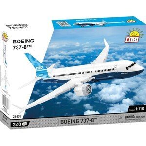Boeing 737 Max 8, 1:110, 315 k