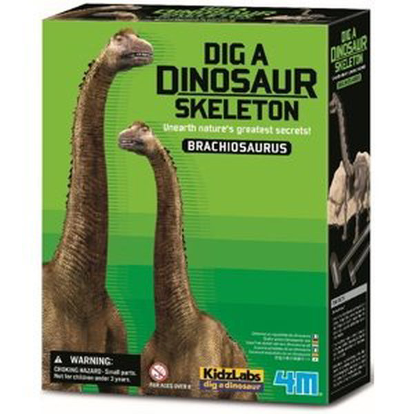 Skelet dinosaura - Brachiosaurus
