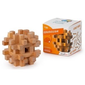 RECENTTOYS Brain Puzzle 1 - mozeček