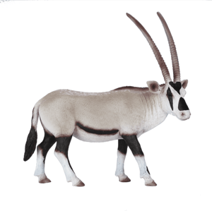 Mojo Oryx jihoafrický