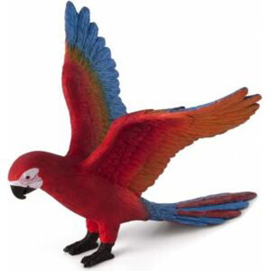 Mojo Papoušek Ara