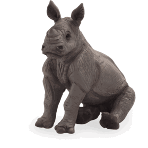 Mojo Nosorožec mládě sedící