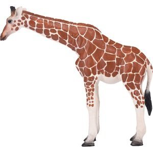 Mojo Žirafí samice