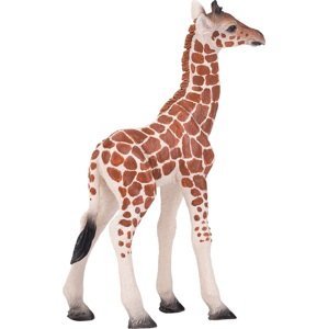 Mojo Žirafa mládě