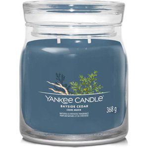 Yankee Candle Pobřežní cedr, Svíčka ve skleněné dóze 368 g