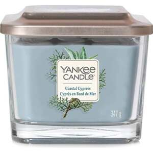 Yankee Candle, Pobřežní cypřiš, Svíčka ve skleněné váze, 347 g