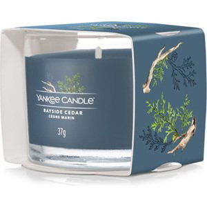 Yankee Candle, Pobřežní cedr, Votivní svíčka 37 g