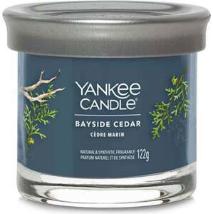 Yankee Candle, Pobřežní cedr, Svíčka ve skleněném válci 122 g