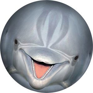 SPORTO Podvodná lopta - delfín