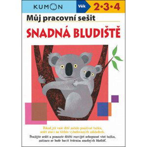 Můj pracovní sešit - Snadná bludiště