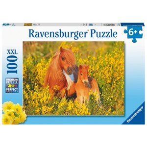 Ravensburger Puzzle XXL 100 dílků - Shetlandští poníci