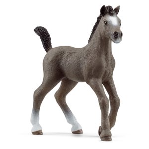 schleich ® Cheval de Selle Francais Hříbě 13957