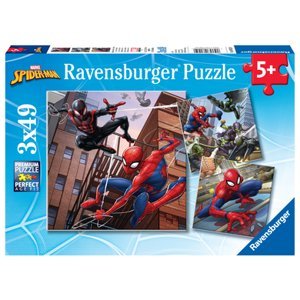 Ravensburger Spider -Muž chrání město