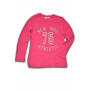 tričko dívčí, dlouhý rukáv, Wendee, OZFB102502-1, růžová - 104 | 4roky