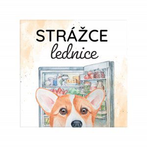 Magnetka - Strážce lednice Albi